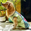 Summer T-shirt For Pets