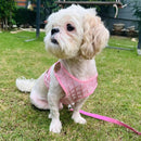 Vest Harness with Leash For Pets