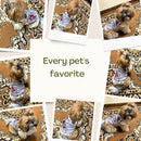 Summer T-shirt For Pets