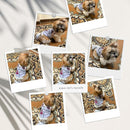 Summer T-shirt For Pets