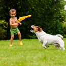 Chew Squeaky toy for dogs(Small)