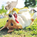 Interactive Toy  For Dog