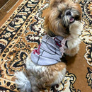 Summer T-shirt For Pets