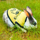 Summer T-shirt For Pets