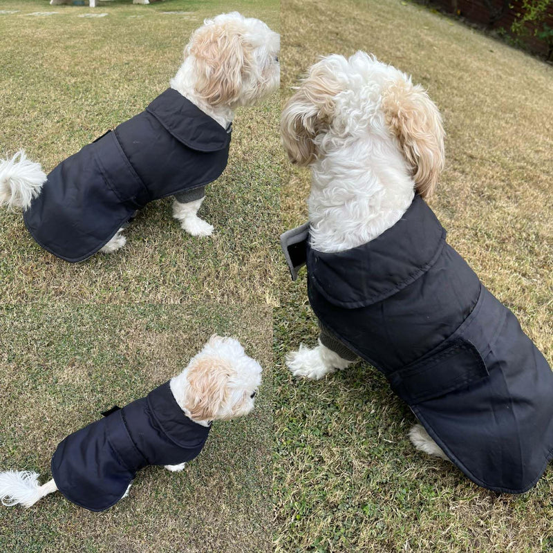 Winter Hoodie Jacket for Small Breed Dog (Black)