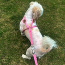 Vest Harness with Leash For Pets