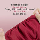 Washable Male Reusable Dog Diapers Pack of 3 Small (Red, Black, Green)