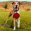 Collapsible Travel Bowl  for Dog-Cat