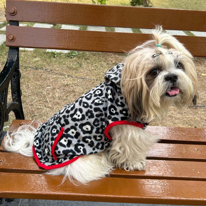 Winter Hoodie Jacket for Small Breed Dog (Black-Grey)
