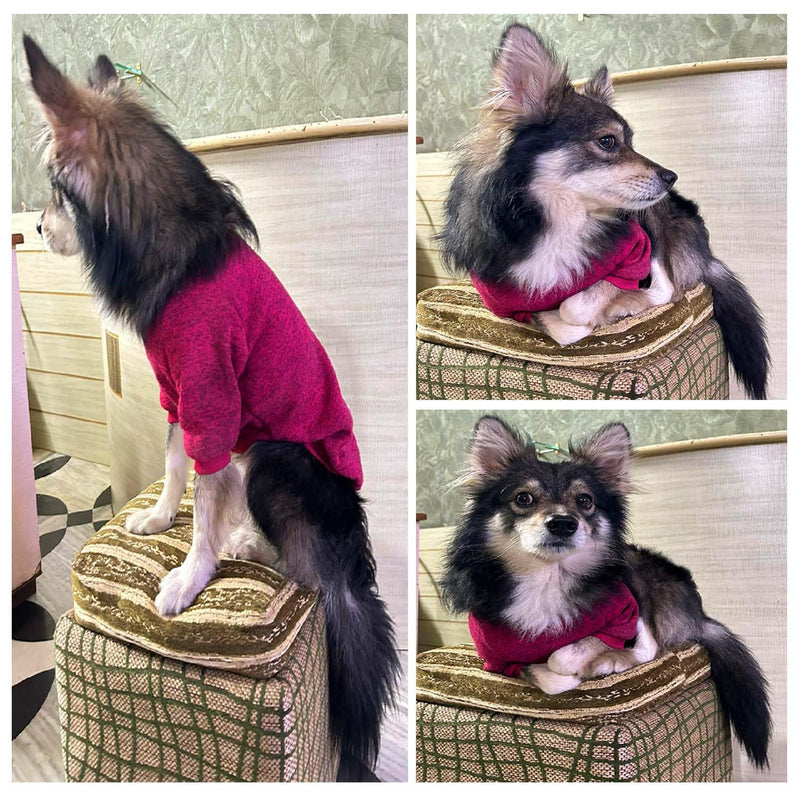 Classic Knitwear Sweater For Small Dogs Cats (Dark Pink)