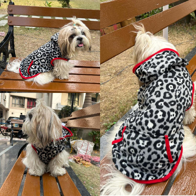 Winter Hoodie Jacket for Small Breed Dog (Black-Grey)