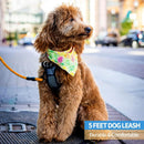 Premium Heavy-Duty Nylon Dog Leash with Padded Handle