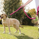 Reflective  Bungee Leash For Dogs