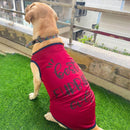 Summer T-shirt For Pets