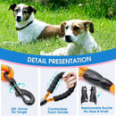 Premium Heavy-Duty Nylon Dog Leash with Padded Handle