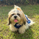 Winter Hoodie Jacket for Small Breed Dog (Blue)