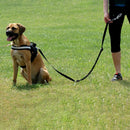 Adjustable Nylon Leash For Dogs