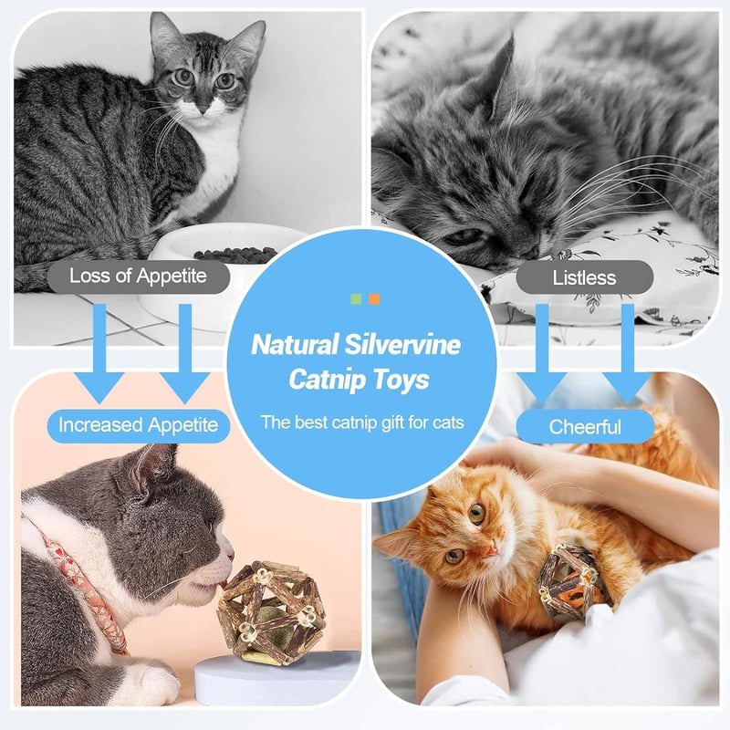 2 Pcs Natural Silvervine Stick & Bell Ball Toys for Indoor Kitten