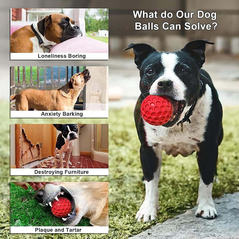 Squeaky Balls Chew Toy For Small/Medium Dogs