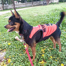 Summer T-shirt For Pets