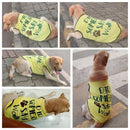 Summer T-shirt For Pets