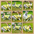 Summer T-shirt For Pets