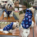 Winter Hoodie Jacket for Small Breed Dog (Blue)