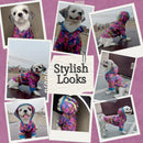 Waterproof Hooded Raincoat For Dog Cat