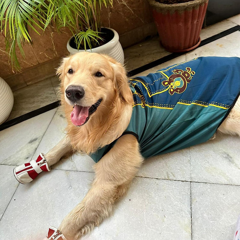 Summer T-shirt For Pets