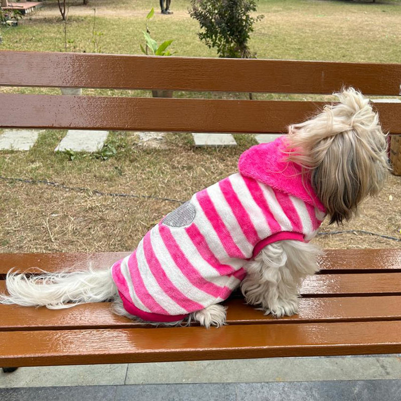 Winter Hoodie Jacket for Small Breed Dog (Pink)