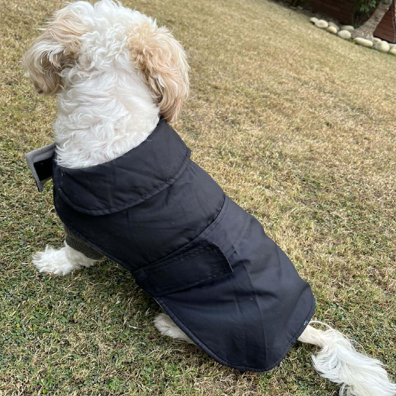 Winter Jacket for Small Breed Dog (Black)