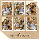 Summer T-shirt For Pets