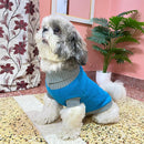 Dog Sweater with Paw Print - Blue