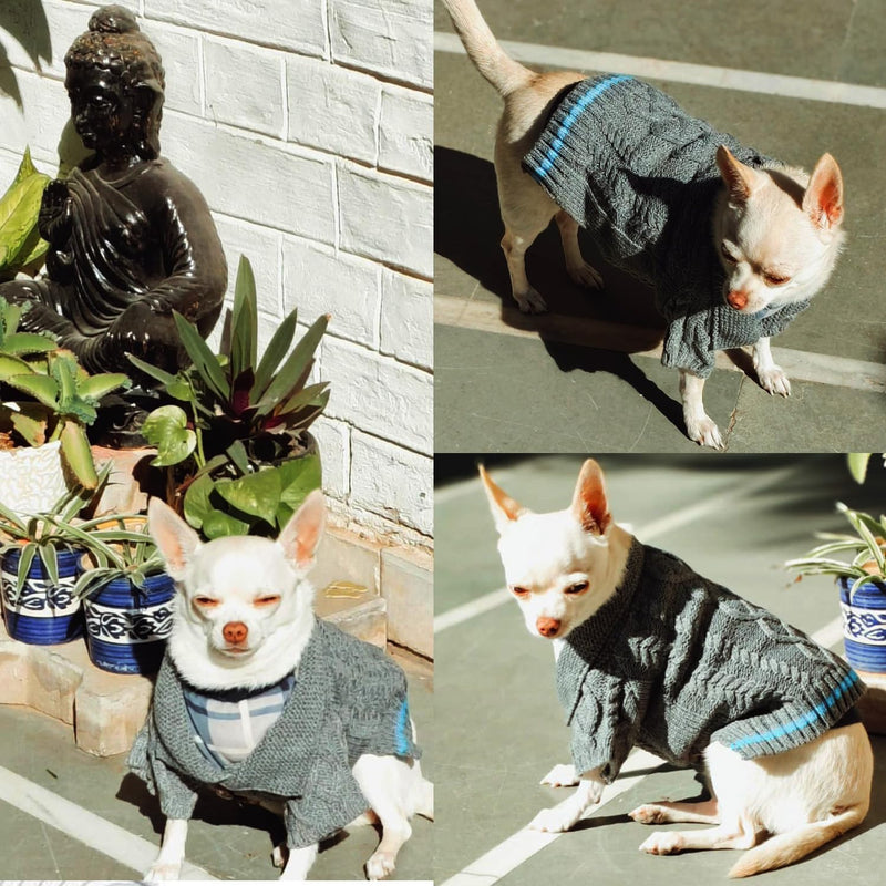 Sweater For Small Dogs, Cats