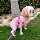 Vest Harness with Leash For Pets