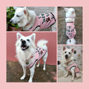 Summer T-shirt For Pets