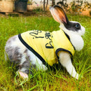 Summer T-shirt For Pets