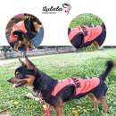 Summer T-shirt For Pets