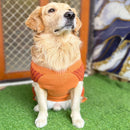 Dog Knitted Sweater for Winter - Orange