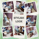 Winter Sweater For Dogs and Cats ( Sea Green )