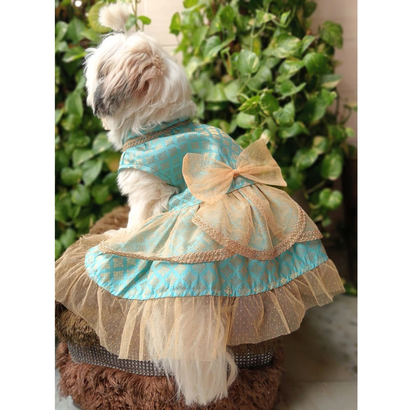 Traditional Dog Dress for Small, Medium & Large Dogs