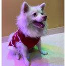 Winter Sweater For Dogs and Cats ( Red )