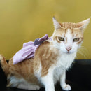 Cat Harness Dress with Bow