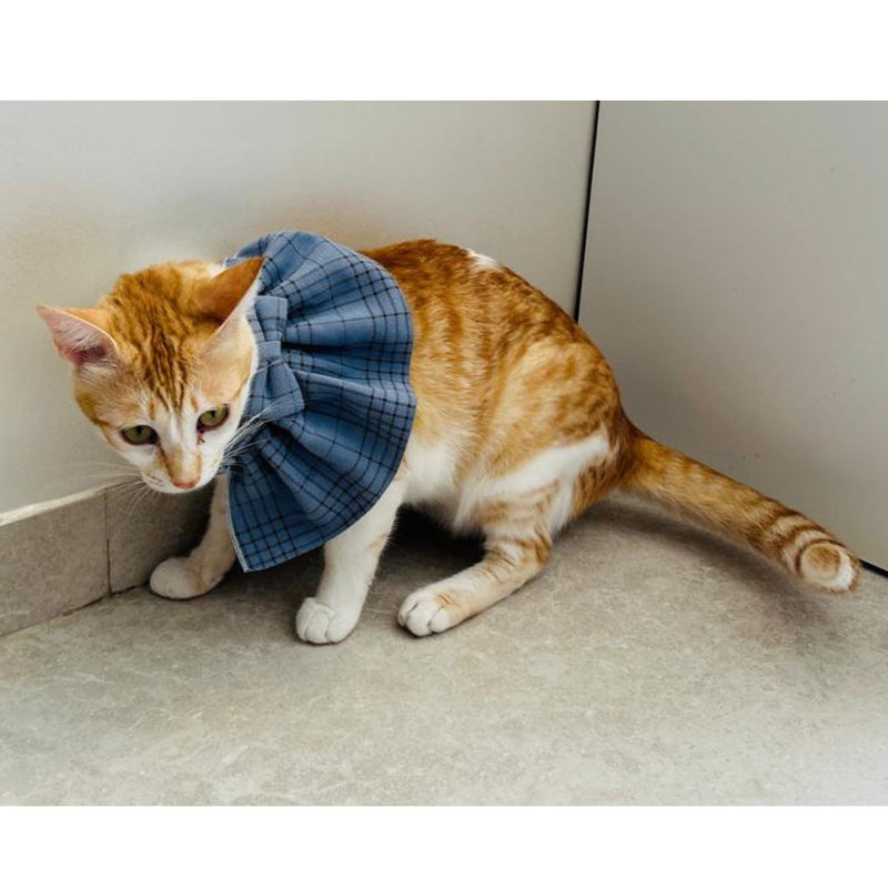 STYLISH Cat Bow Tie Collar