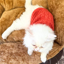Winter Sweater For Dogs and Cats