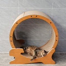 Cat Exercise Wheel for Indoor Cats