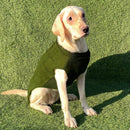 Turtleneck Sweater Winter For Small Dogs Cats