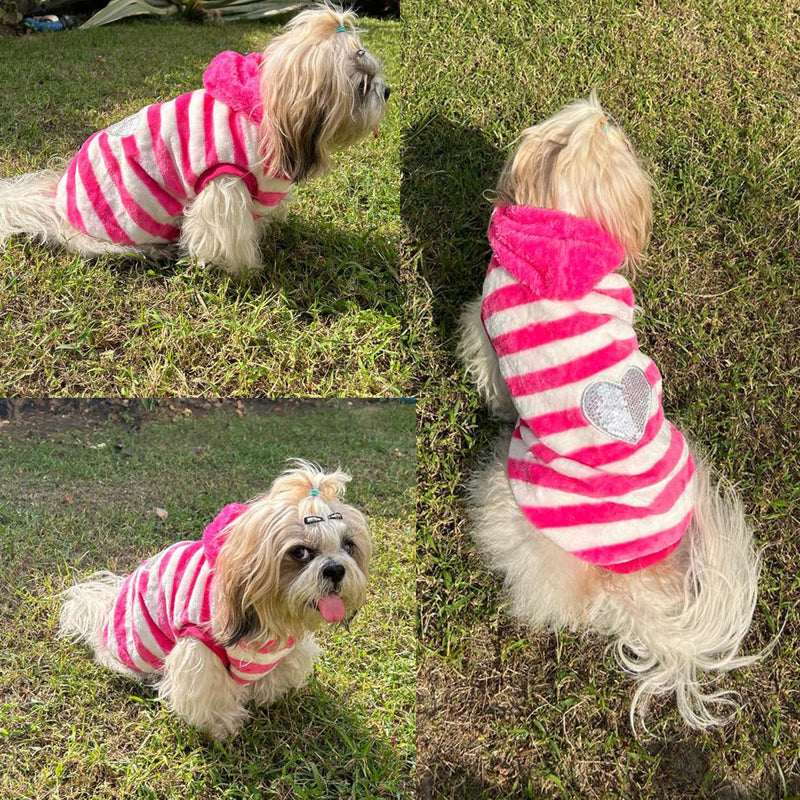 Winter Hoodie Jacket for Small Breed Dog (Pink)