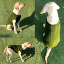 Turtleneck Sweater Winter For Small Dogs Cats