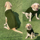 Turtleneck Sweater Winter For Small Dogs Cats